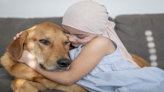 Des chiens pour dépister les cancers du sein : l’avancée du projet « Kdog »