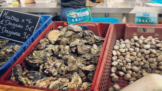 Huîtres du bassin d’Arcachon : vers la levée de l’interdiction de vente le 19 janvier