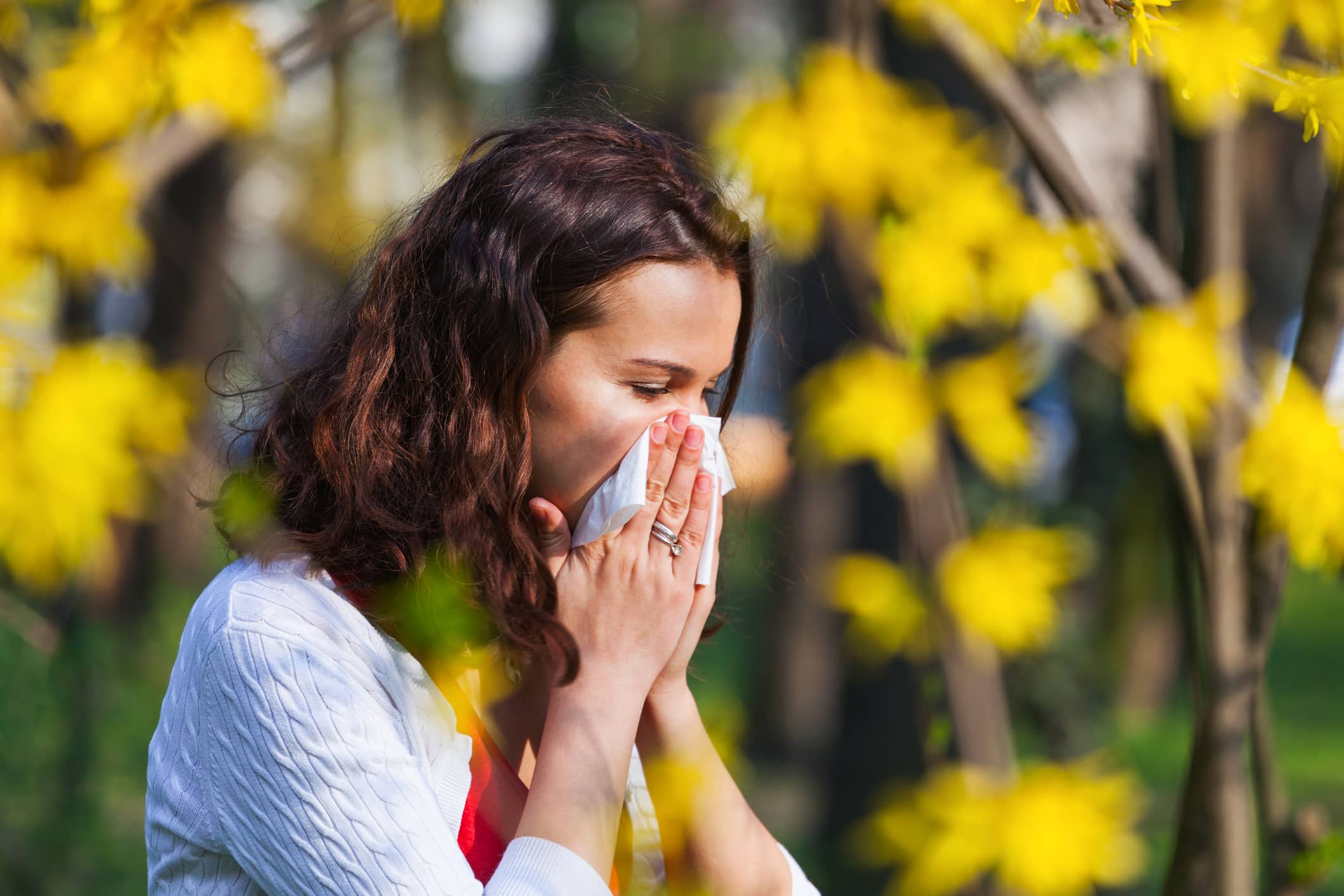 Allergies printanières : cartographie des risques polliniques en France et conseils de protection